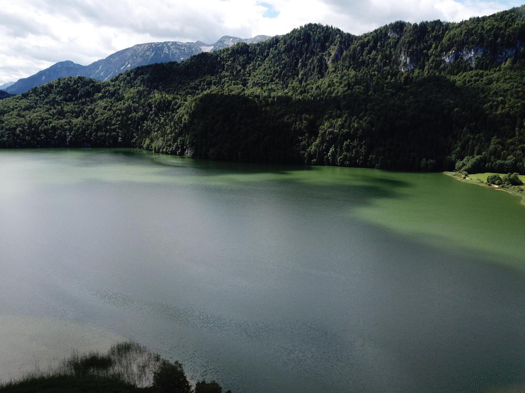 Landhaus Am Weissensee Fussen Bagian luar foto